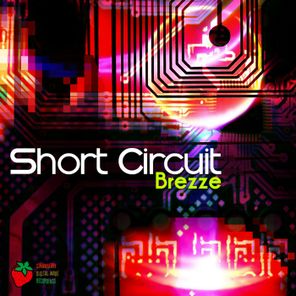 Short Circuit