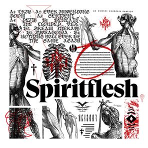 Spiritflesh