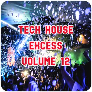 Tech House Excess, Vol.12
