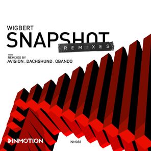 Snapshot Remixes