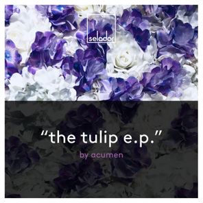 The Tulip