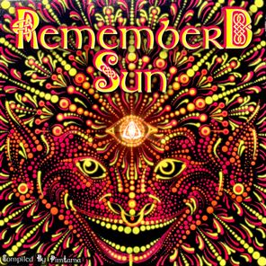 Remember D Sun