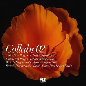 Collabs 02