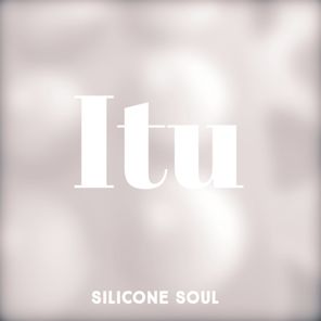 Silicone Soul