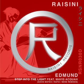 Step into the Light (David Mateo, Rafix, Bene Remixes)