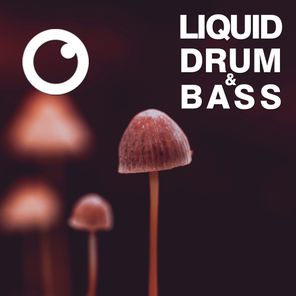 Liquid Drum & Bass Sessions 2020 Vol 34 : The Mix
