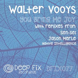 You Bring Me Joy (The Remixes)