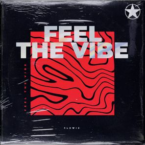 Feel The Vibe