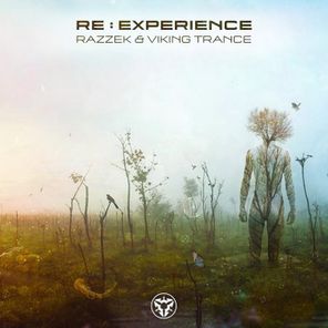 Re : Experience