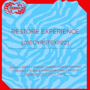 Restore Experience [01EOYRSTEXP22]