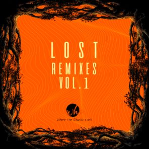 Lost Remixes, Vol. 1