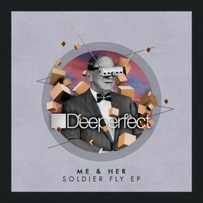 Soldier Fly