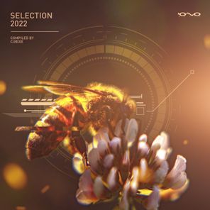 Selection 2022 (Compiled by Cubixx)