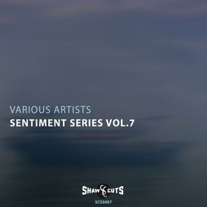 Sentiment Series Vol.7