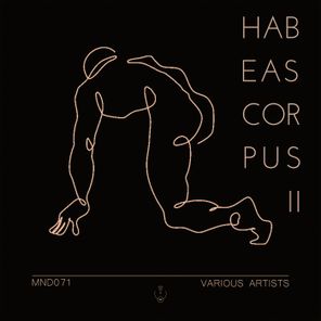 Habeas Corpus 2