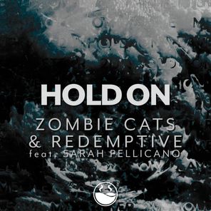 Hold On (feat. Sarah Pellicano)