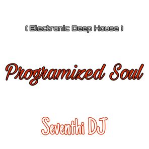Programized Soul ( Electronic Deep House )