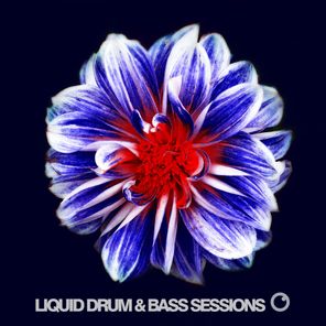 Liquid Drum & Bass Sessions 2019 Vol 6