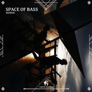 Space of Bass