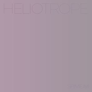 Heliotrope