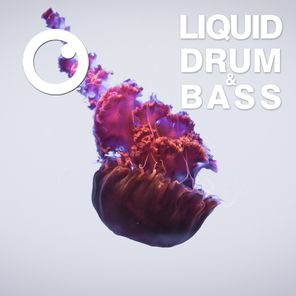 Liquid Drum & Bass Sessions 2020 Vol 24 : The Mix