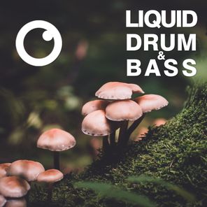 Liquid Drum & Bass Sessions 2020 Vol 31 : The Mix