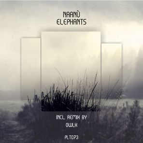 Elephants