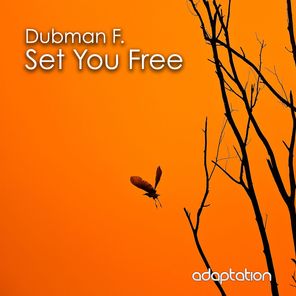 Set You Free