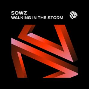 Walking In The Storm