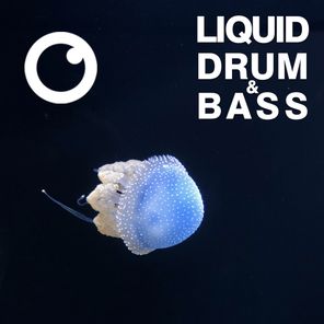 Liquid Drum & Bass Sessions 2020 Vol 37 : The Mix