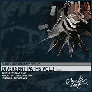 Divergent Paths Vol.3