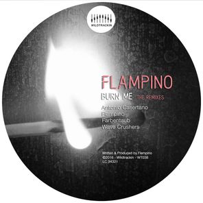 Burn Me - The Remixes