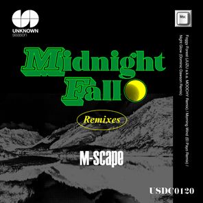Midnight Fall (Remixes)