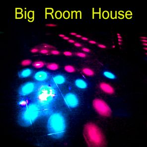 Big Room House