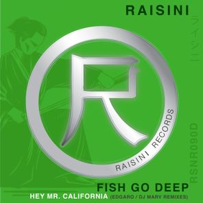 Hey Mr. California (Edgaro, DJ Marv Remixes)