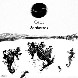 Seahorses