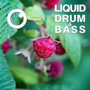 Liquid Drum & Bass Sessions 2020 Vol 13 : The Mix