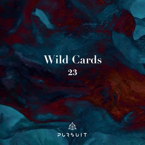 Wild Cards 23