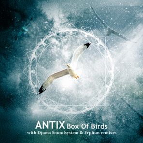 Box of Birds