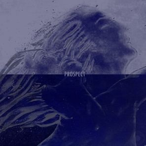 Prospect