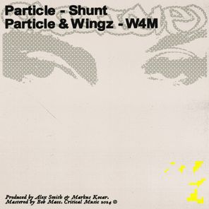 Shunt / W4M