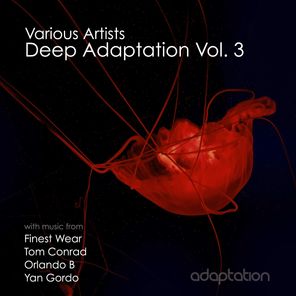 Deep Adaptation, Vol. 3