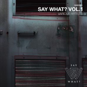 Say What?, Vol. 1