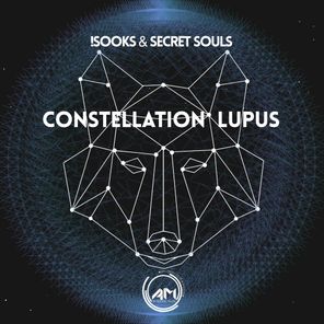 Constellation Lupus