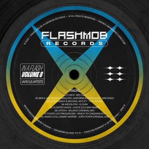 In a Flash, Vol. 8