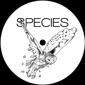Species 001