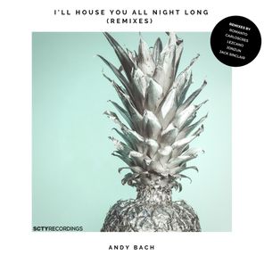 I'll House You All Night Long (Remixes)