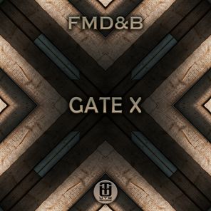 Gate X