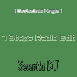 7 Steps Radio Edit ( Soulcalmic Mingle )