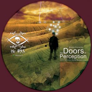 The Doors of Perception